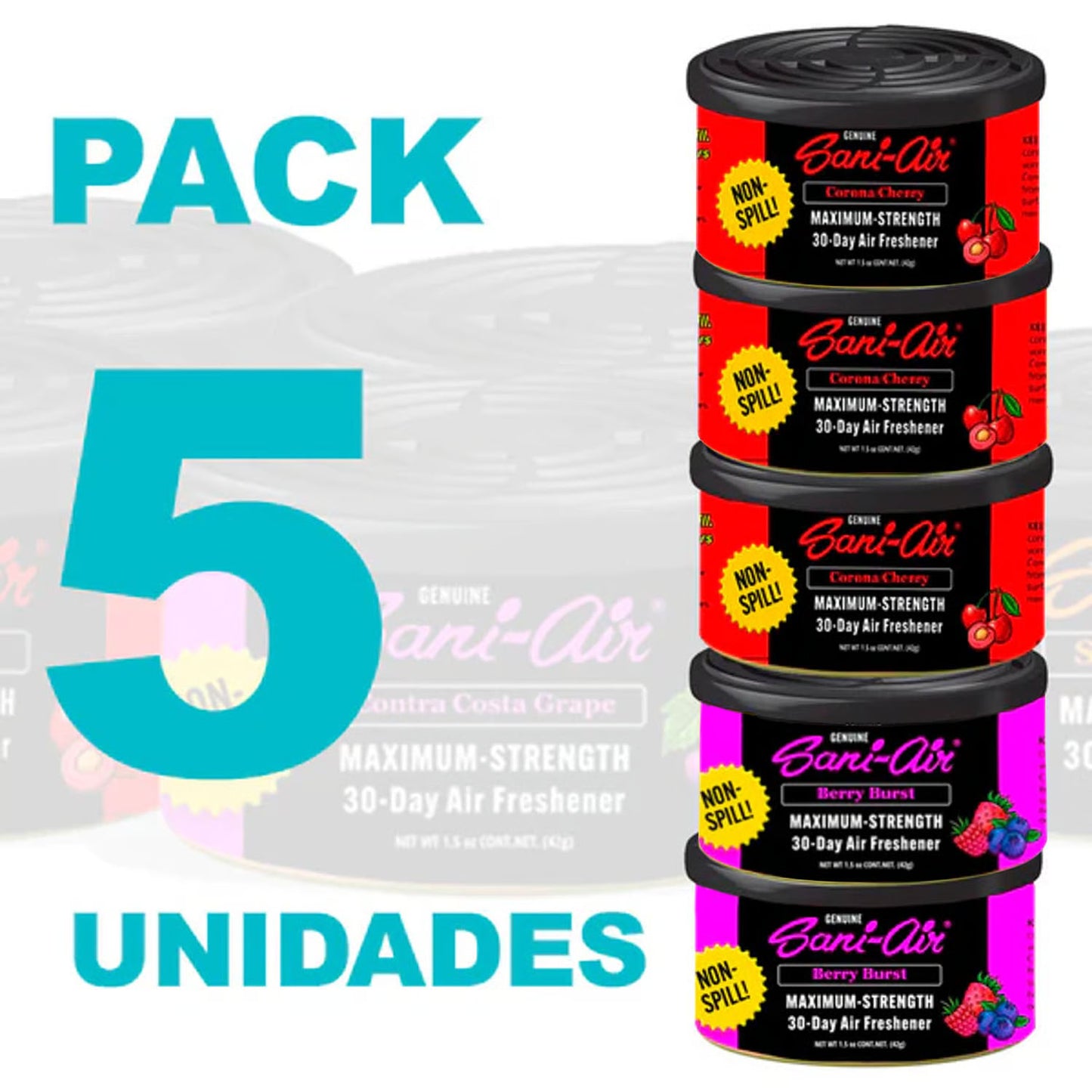 Pack 5 latas auto Sani Air
