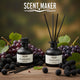 Pack Mikado Premium Dark – Black Berry + Vibrant Grape