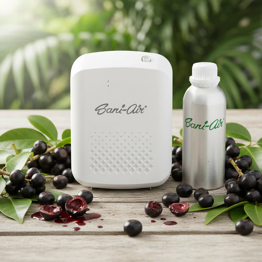 PACK AROMA + BOTELLA 500ML AROMA ACAI BERRY SANI AIR + NEBULIZADORA M