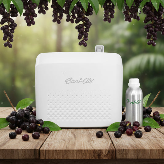 PACK AROMA + BOTELLA 500ML AROMA ACAI BERRY SANI AIR + NEBULIZADORA L