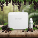 PACK AROMA + BOTELLA 500ML AROMA ACAI BERRY SANI AIR + NEBULIZADORA L