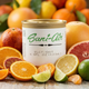 LATAS SANI AIR FRESH CITRUS