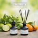 Pack 2x Mikado Premium Dark - Lima Basil & Mandarin