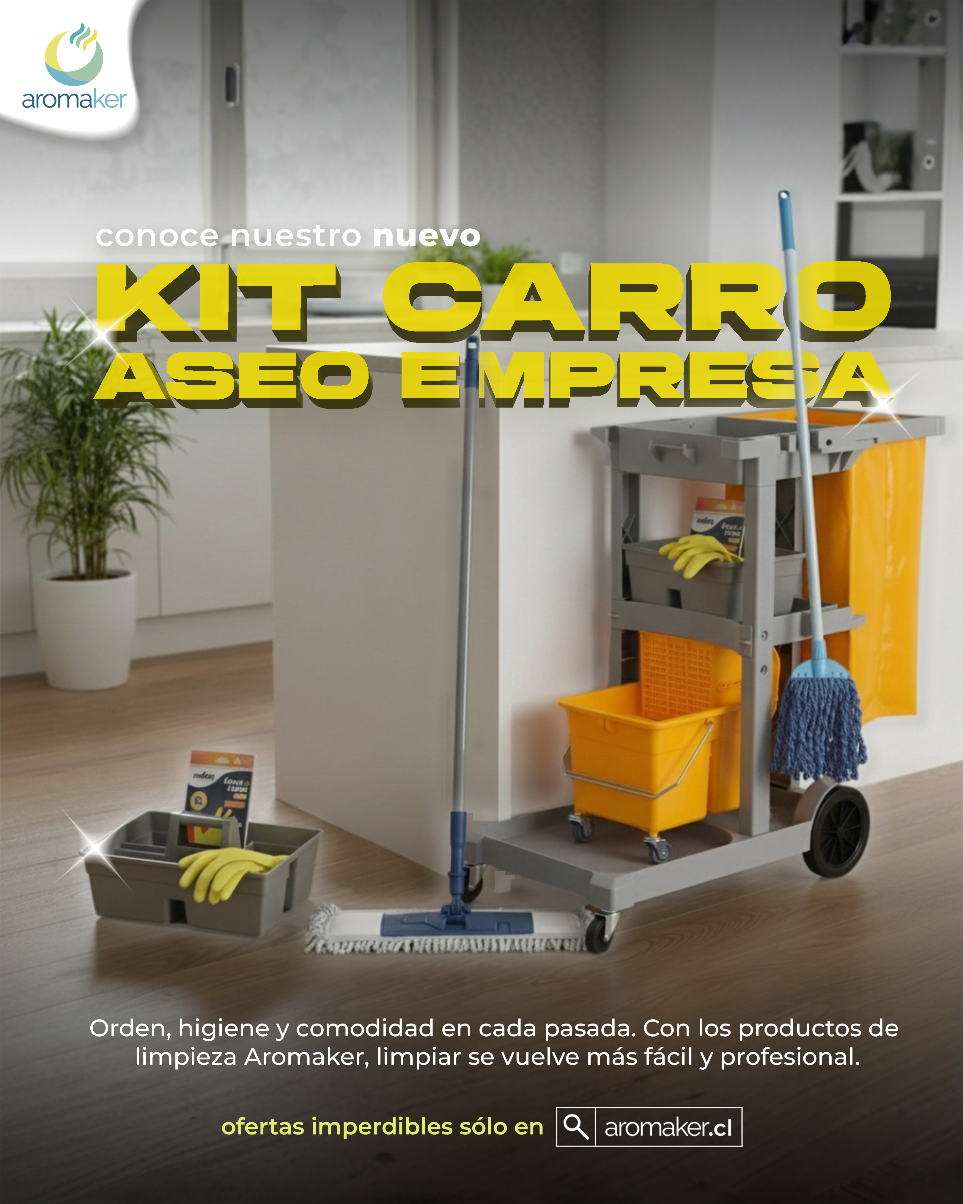 Kit Carro Profesional Aseo Empresa