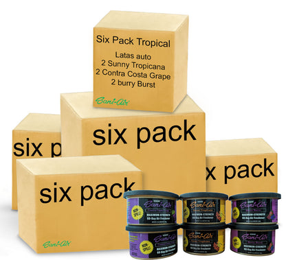 SIX PACK AUTO TROPICAL